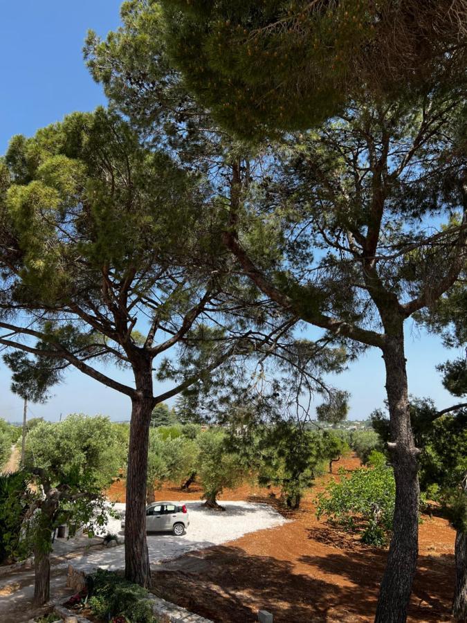 Appartement Masseria Concorrano à Castellana Grotte Extérieur photo